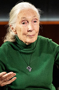 Jane Goodalls Famous Last Words